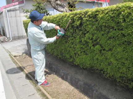 國武造園緑化の【丁寧な作業技術】※お客様の喜びがやりがいです。地域外でもお気軽にご相談下さい。の写真