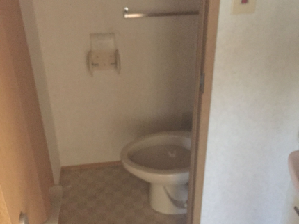 おそうじクリーニングハウスの清潔なトイレに!トイレの尿石取れないで困っている人いませんか?取りましょう!の写真