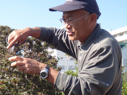 植昌の<年中無休>全スタッフが造園技能士◆仕上がり重視◆樹木の性質に応じた丁寧な剪定の写真