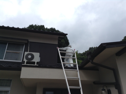 べんり屋そうじゃ家の岡山県内可能。秋はスズメ蜂が攻撃的になります。ご連絡後、即、処理いたします。の写真