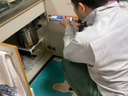 クリーンキング1978のゴキブリ撲滅させます。当日施工可能です。他社との違いは完全にゼロまで責任持ちますの写真