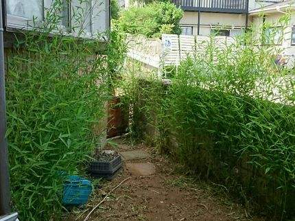 園丁 ことぶきの確かな技術で綺麗な仕上がりを実感ください!の写真