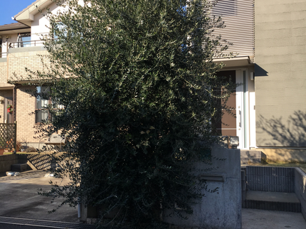 Garden Mapleの《業界15年!資格保有者が対応!損保加入済!》ご要望にできる限りお応えします!の写真