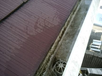 大鷹工業の雨樋お掃除110番の写真