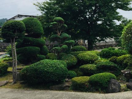 green gardenの☆年中無休☆の写真