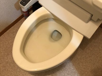 dream corporationのトイレコーティング+シンク撥水コート無料提供中の写真