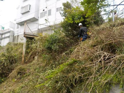 湘南彩苑のお庭や空き地の草刈りなら当社にお任せください!3月中旬~予約受付中です!の写真