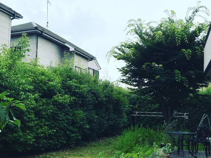植理 造園の【植木職人の庭木剪定専門店】理想は「手入れが楽で見栄えの良い庭」の写真