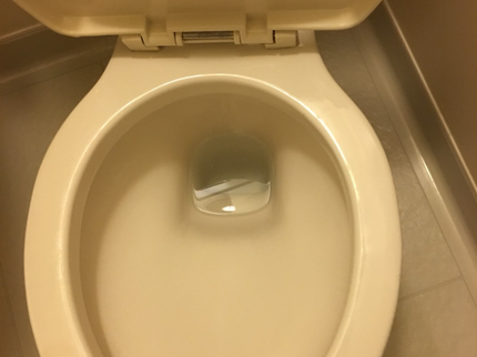 NEOLINE〜クリーンサービス〜のトイレを綺麗に◎プロの技術で日々の暮らしを快適に!の写真