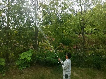 慶三庭園のお庭の害虫にお困りの方は駆除にお伺い致します☆土日祝も作業にお伺い致します☆の写真