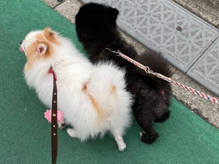 繋人代行サービスの【有資格者がお伺い!】営業時間外でもご相談ください♪の写真