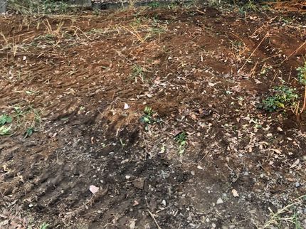 有限会社 千代田緑地の草むしり 除草剤散布の写真