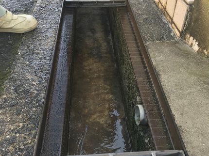 (株)新綺サービスの業界歴15年 損害保険加入済 作業に満足いただけない場合、全額返金致します!の写真