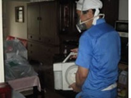 第三衛生の【ゴキブリが逃げてく部屋とは?】ゴキブリが出ない部屋作り/カード可/追加料金なしの写真