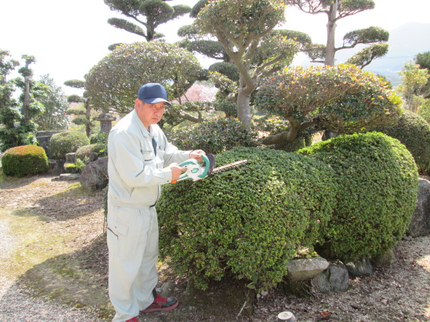 國武造園緑化の【充実した作業内容】※作業経験 10年が作業。の写真