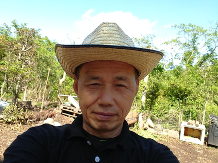 並木造園産業の★庭木の剪定(お手入れ)5月連休中も営業!お気軽にメール下さい。(相談可)の写真