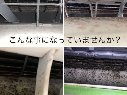 Clean Craftの★年中無休★徹底洗浄★5月完売!★6月のご予約はお早めに!現金払い抗菌コート無料の写真
