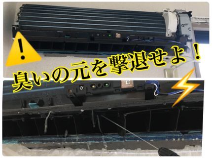 トータルエッジクリーンサービスのペットがいるご家庭でも安心してお任せください!カビ、嫌な臭いを一気に除去します♪の写真