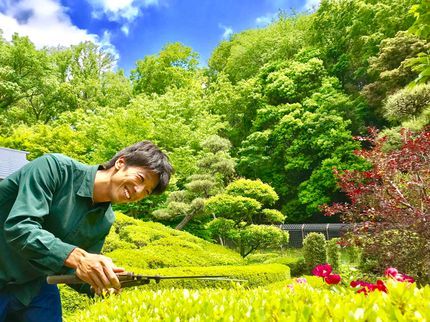 清田屋造園の一本一本に心を込めて剪定しています(^^)夏に向けて風の通る涼しげなお庭に♪♪♪の写真