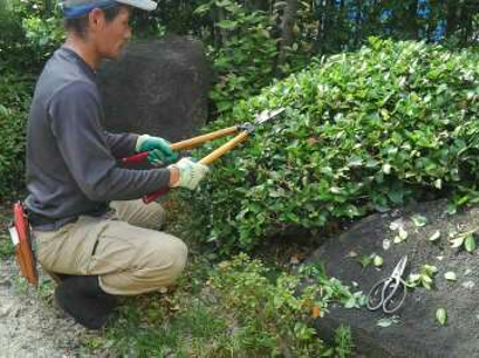 よっすぃ~農園緑化事業部の【造園業14年☆庭園管理士】微生物を育てるところから土作りの技術を生かします!の写真