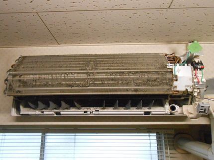 株式会社アークトンの自然派洗剤で安心!エアコン洗浄【お掃除機能可】の写真