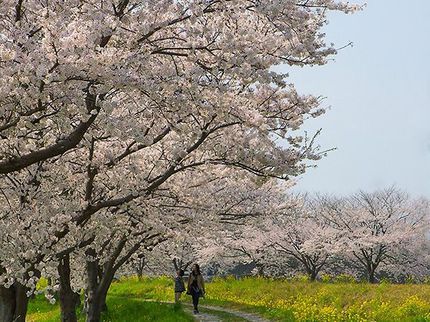 博多本舗の☆カード決済OK☆お二人の大切な時間を繊細かつ大胆に切り取ります!の写真