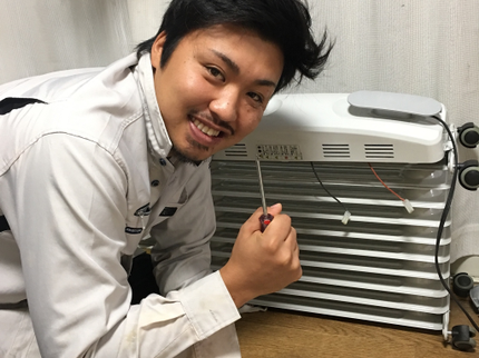感動企画エターナルのオオスズメバチも大丈夫ですの写真