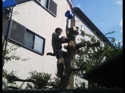 ナカジマサービスの【一級造園技能士の資格有☆】どれだけ大きな高木でも、全て対応させていただきます!の写真