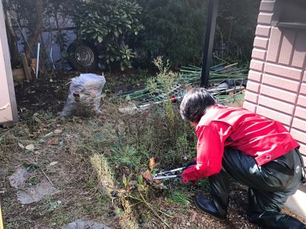 あなたのお悩み解決します! 便利屋ひつじ堂の根っこから丁寧に草むしり致します!除草作業の事ならお任せください♪の写真