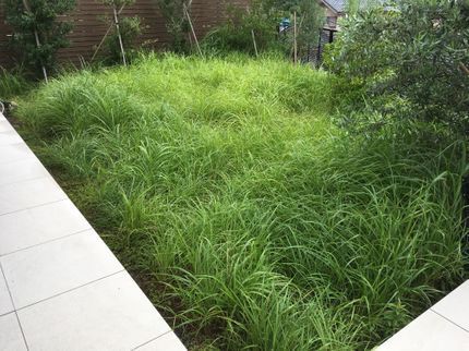 工房everGreenの【業歴22年!】女性スタッフ同行可!根から抜く様に作業致します!の写真