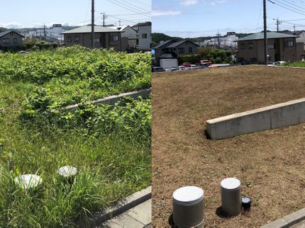 Mare Gardenマーレガーデンの〈湘南地区主体、神奈川県全域対応!〉 外注作業なし○低価格、高いクオリティ!の写真