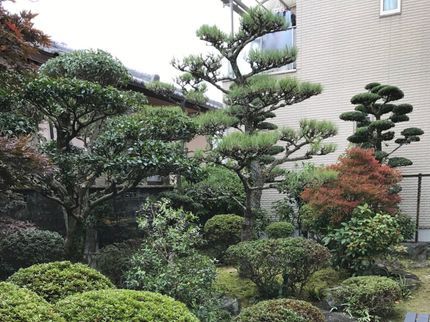 BASE garden&flowerの<誠心誠意、親切丁寧>15年以上の実績。資格有り。土日祝も歓迎。の写真