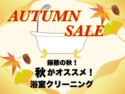 ハウスエースの■PayPay支払いで1000Pキャッシュバック!13000円→12000円■の写真