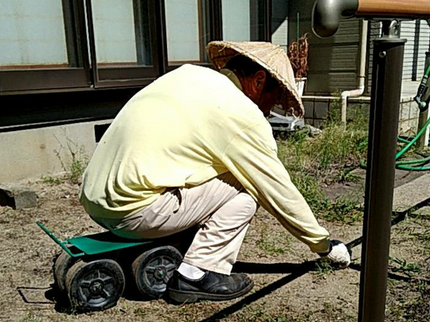 便利屋七福人の草むしり及び小枝切りの写真