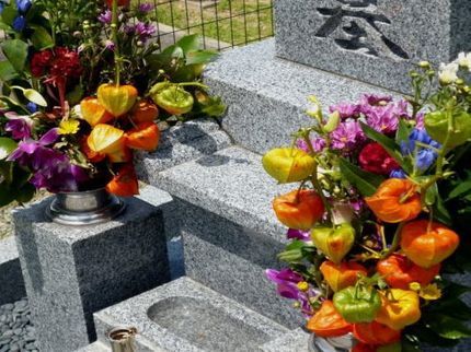 わんぱく お掃除隊のお忙しい 貴方様の代わりに お墓参りし掃除をいたします。 お線香は、無料です。の写真