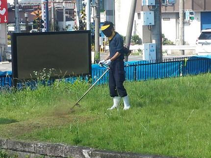 大阪おそうじ便の最短1/21~OK!【草刈りサービス】どんどん増える雑草はすべてお任せ下さい!の写真