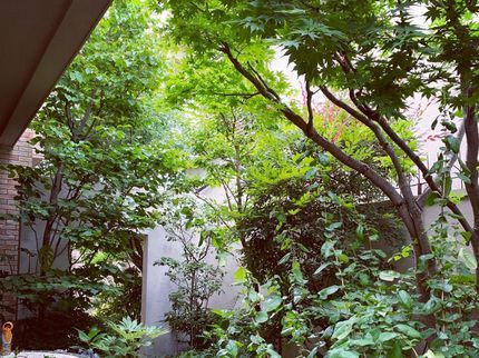 庭色の綺麗に剪定して気分も晴れ晴れにしませんか(^^)?の写真