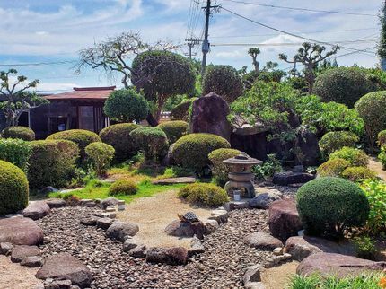 植木屋いのうえの【即日対応】頂いたお問い合わせは必ずその日に対応致します。まずは気軽にご相談を!の写真