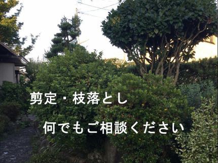 有限会社ペト・コピアの実績30年以上!気さくで真面目な私達にお任せください!の写真
