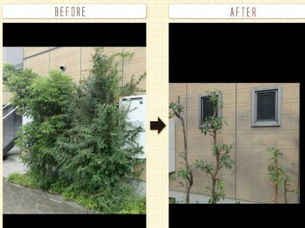 三生園の経験豊富な職人が心を込めて作業いたします!最後まで責任を持って対応します!の写真
