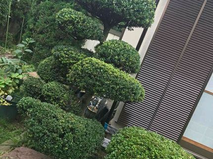 木花彩創の一本一本丁寧にお客様にご納得頂けるよう仕上げさせて頂きます。の写真