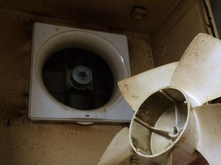 旭美術塗装の《業歴20年の実績あり》損害保険加入済み!専門知識と技術でお困りごとを解決しますの写真
