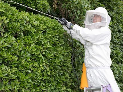 ハンズクラフト福岡インター店の蜂駆除もライフサポートにお任せ!の写真