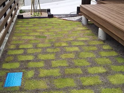 ミヤナガ 一級造園施工管理の個人庭を中心に実務40年の一級造園施工管理士です。の写真