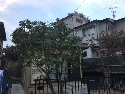 中澤造園の《有料P代全額負担》お庭のお困りごとをスッキリ解決!仕上がり保証ありで安心◎の写真