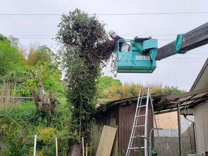 植木屋いのうえの<福岡県飯塚市から出向>禁煙者が伺います◎柔軟に対応します、ご相談ください!の写真