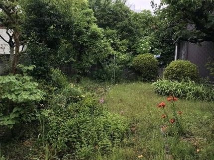松村造園の造園会社数社の経験を生かし、ご要望に応じて、適切な作業をさせていただきます!の写真