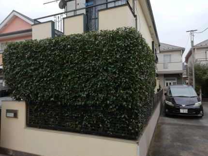 湘南カンパニーの【地域密着】業界30年の経験実績!ぜひ、一度プロの技をお試しください!の写真
