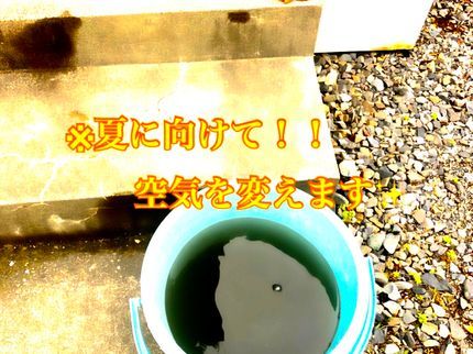Moz cleanの長野県☆夏だ!今だっ!2台予約で1台8000円!漂白剤ベース洗剤で殺菌、カビ取☆の写真