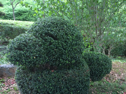 庭庵 -Garden AN-の雑草でお困りの方、防草シート施工致します。の写真